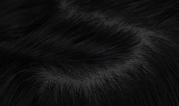 根据客户需求，提供技术支持